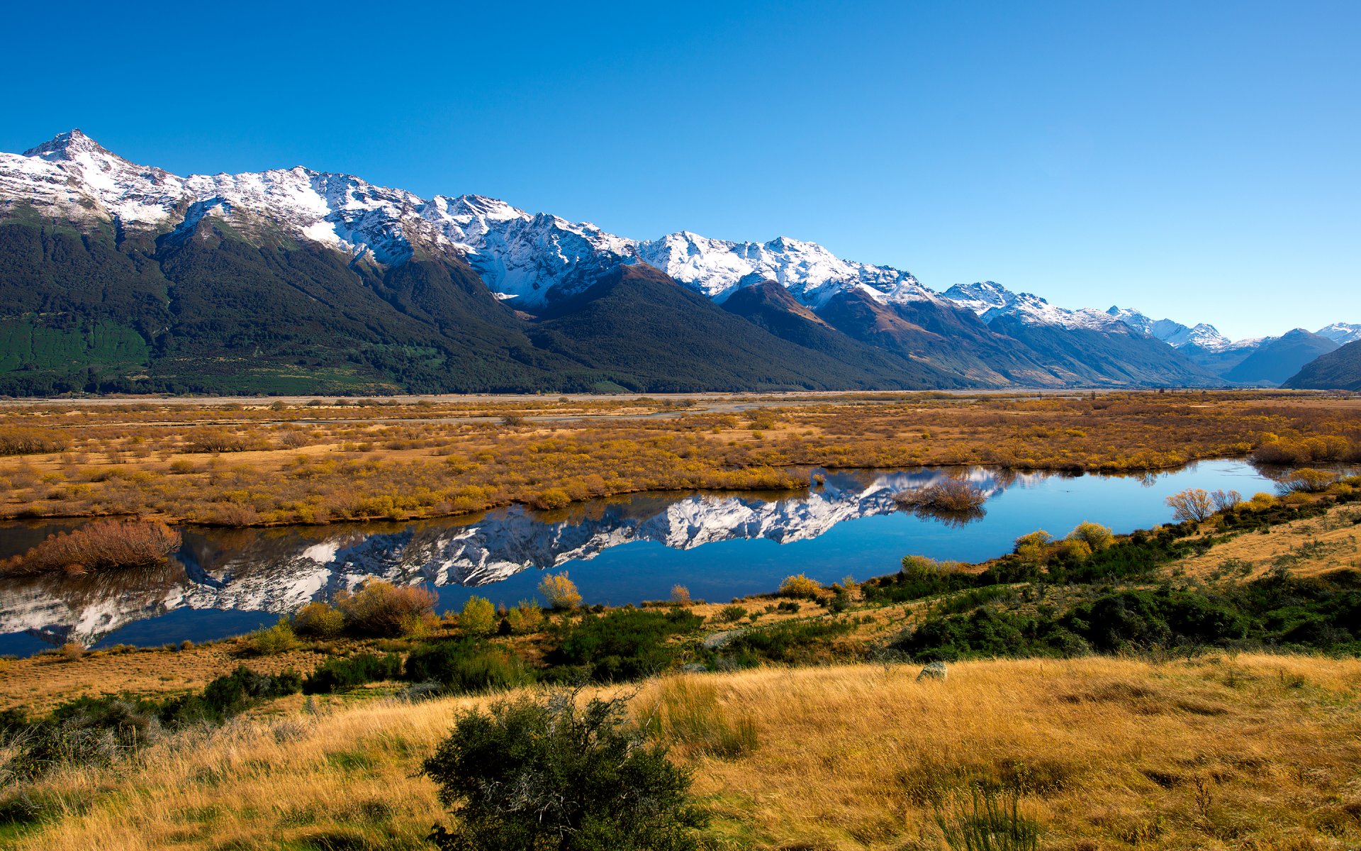 new zealand mountain river nature