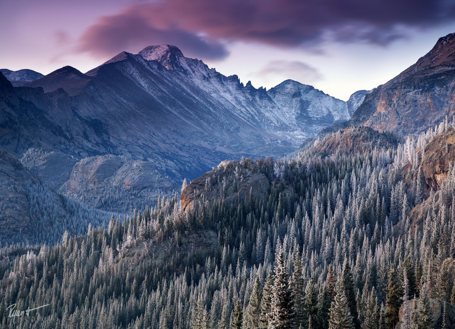 ciel montagnes forêt