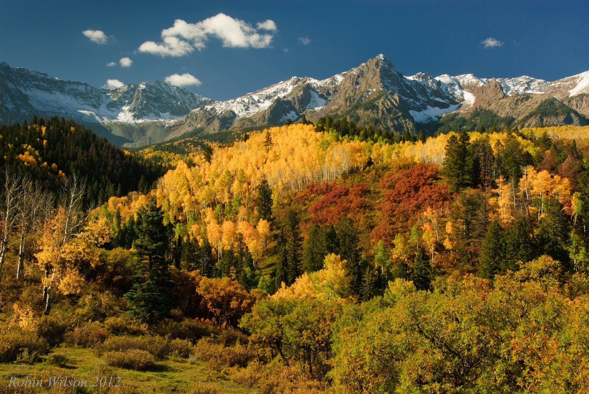 montañas de san juan montañas bosque árboles otoño