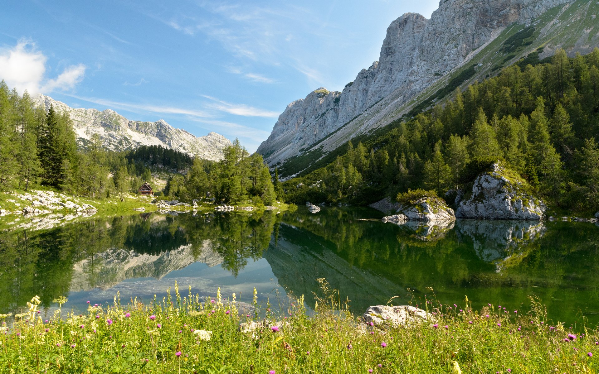 slovénie parc national de triglav lac de bohinj république de slovenija parc national de triglav lac de bohinj