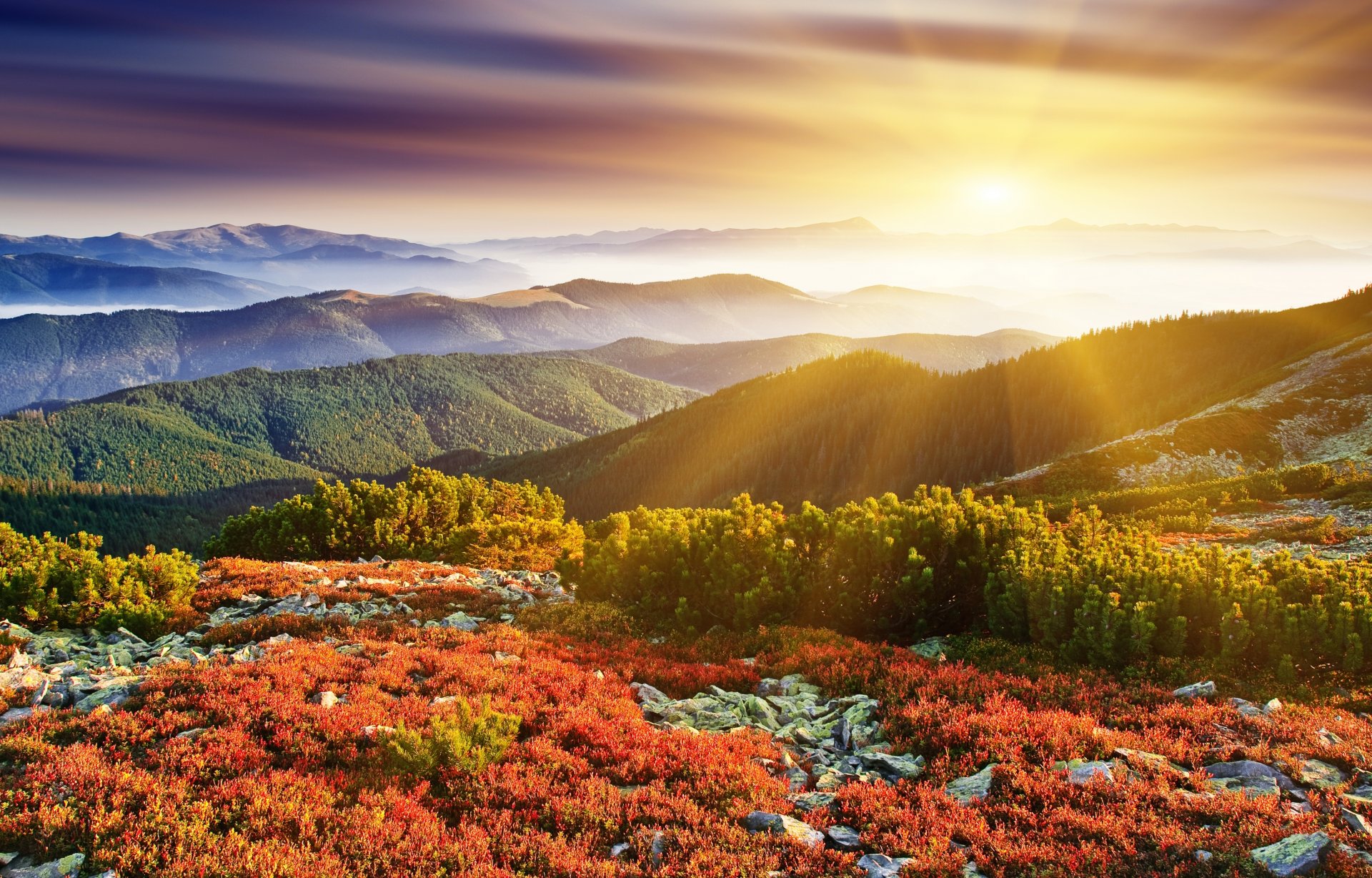 amanecer colinas sol rayos naturaleza árboles hierba tierra piedras