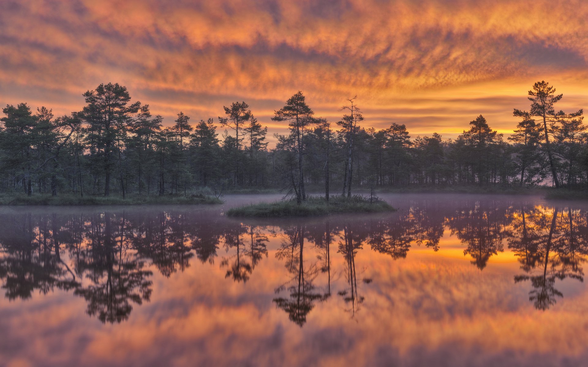 świt knuthöjdsmossen wetland szwecja jezioro drzewa odbicie zachód słońca