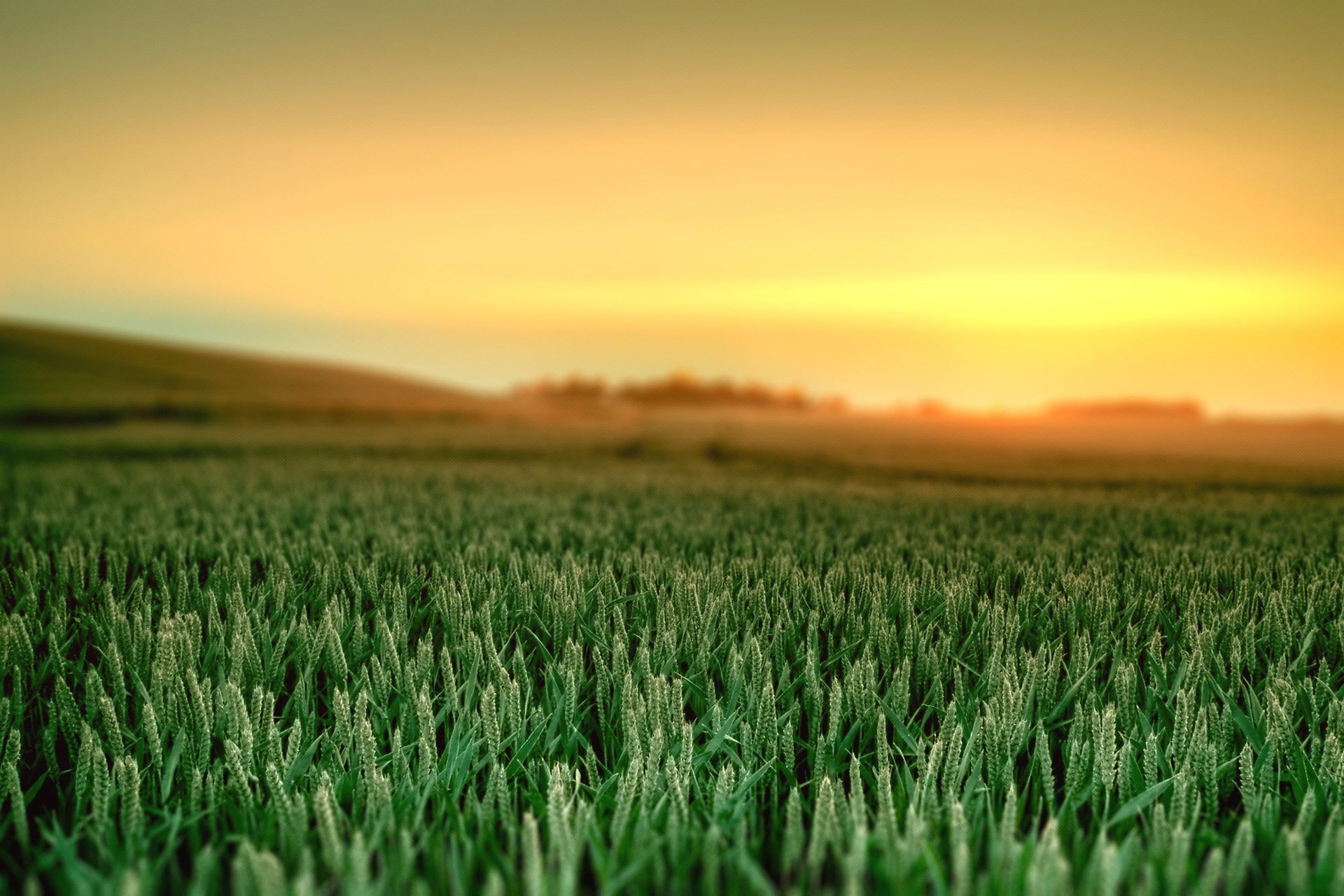 landscape nature dawn grass colors sky color