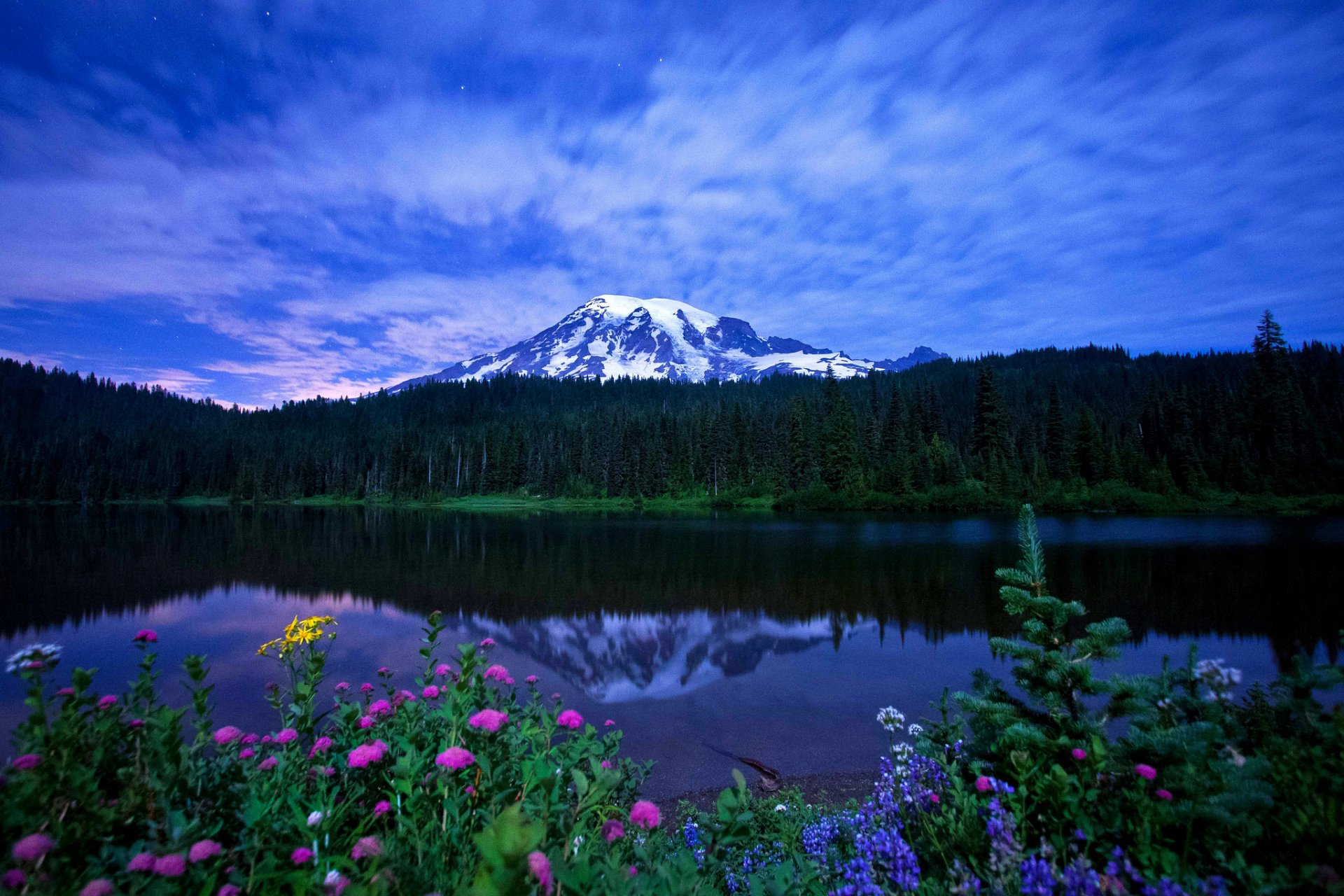 natur landschaft berge see blumen gras himmel wolken