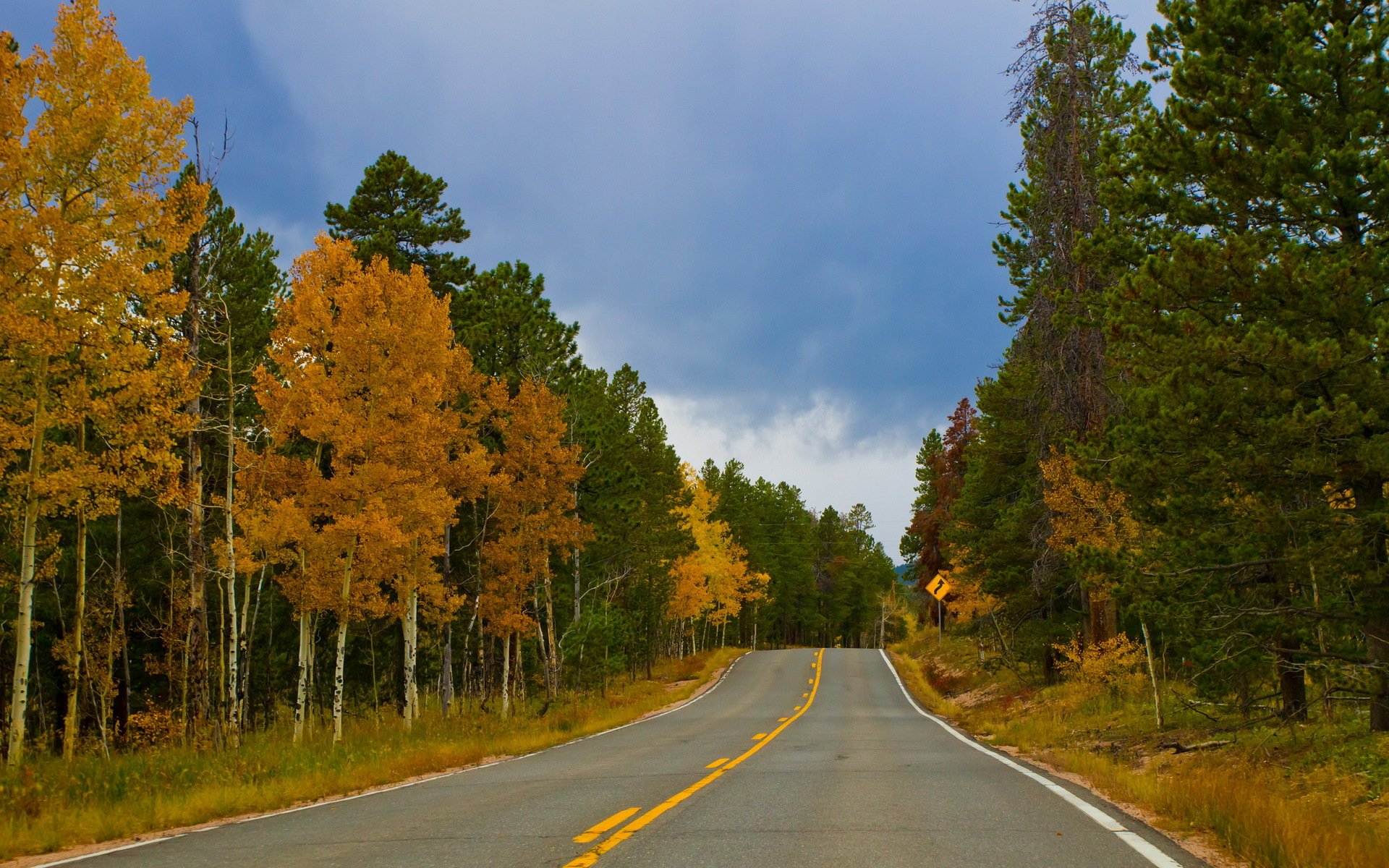 carretera bosque otoño paisaje