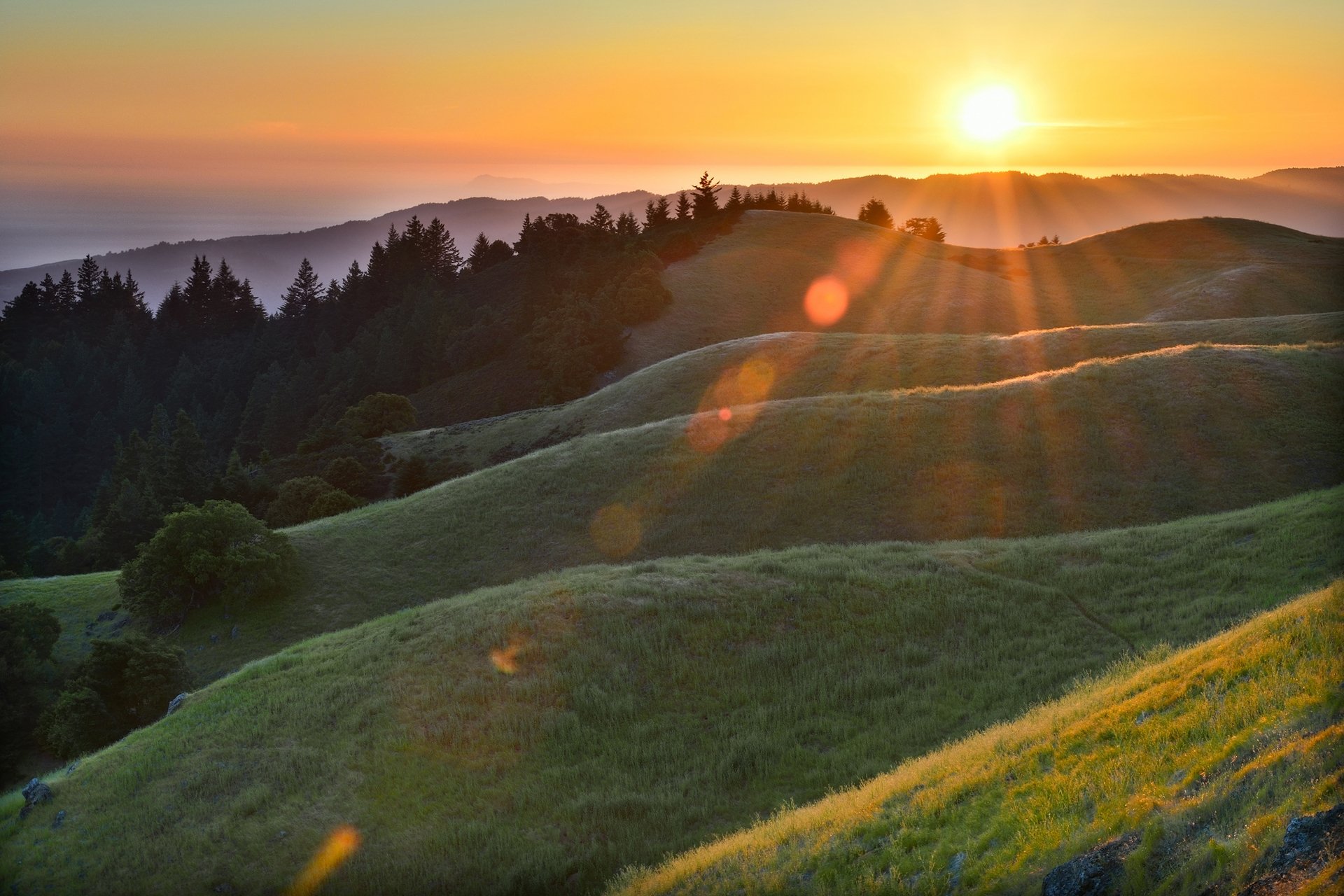 matin soleil rayons éblouissement forêt collines herbe rosée