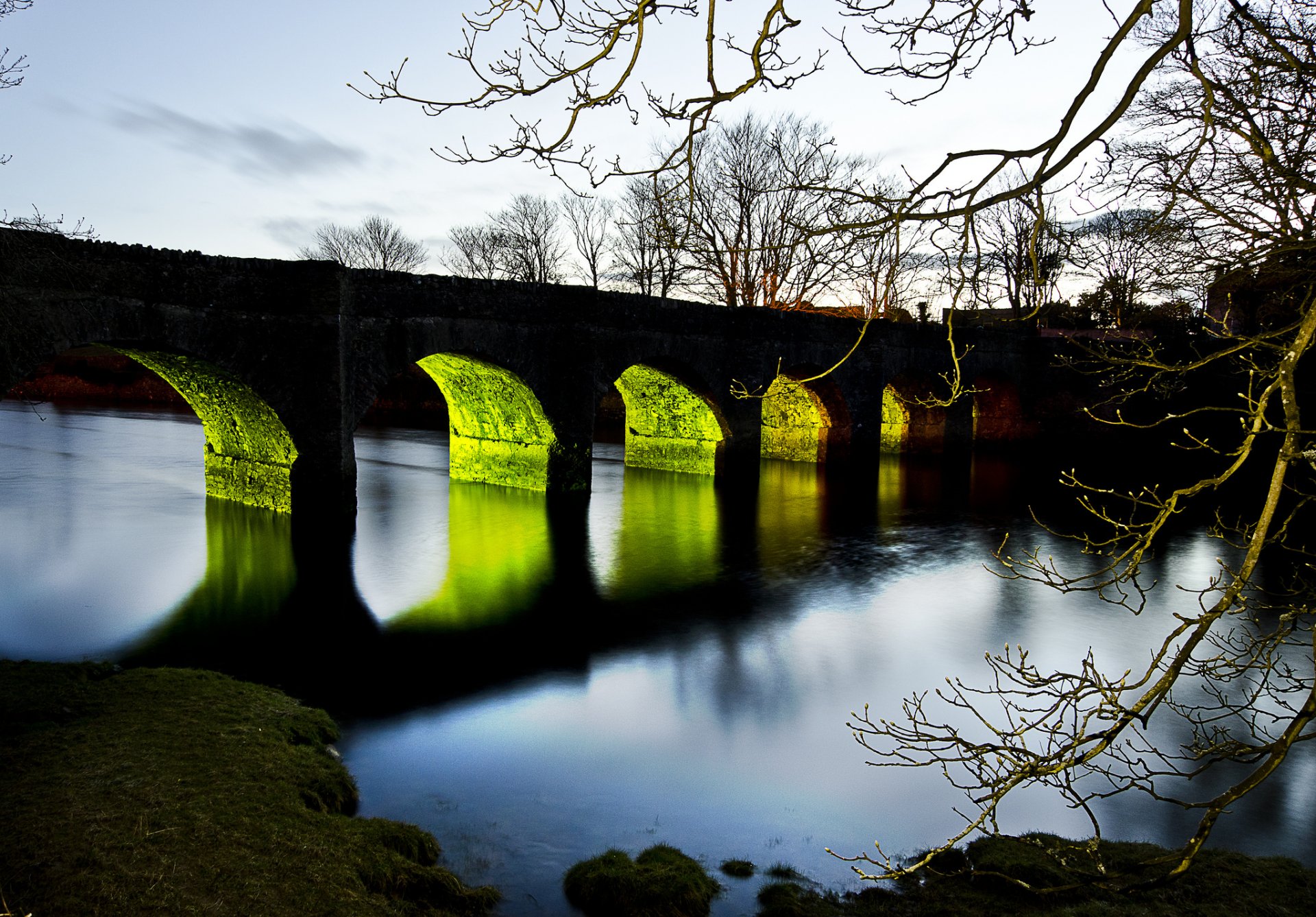 bridge triomphe river light branch tree sunset night