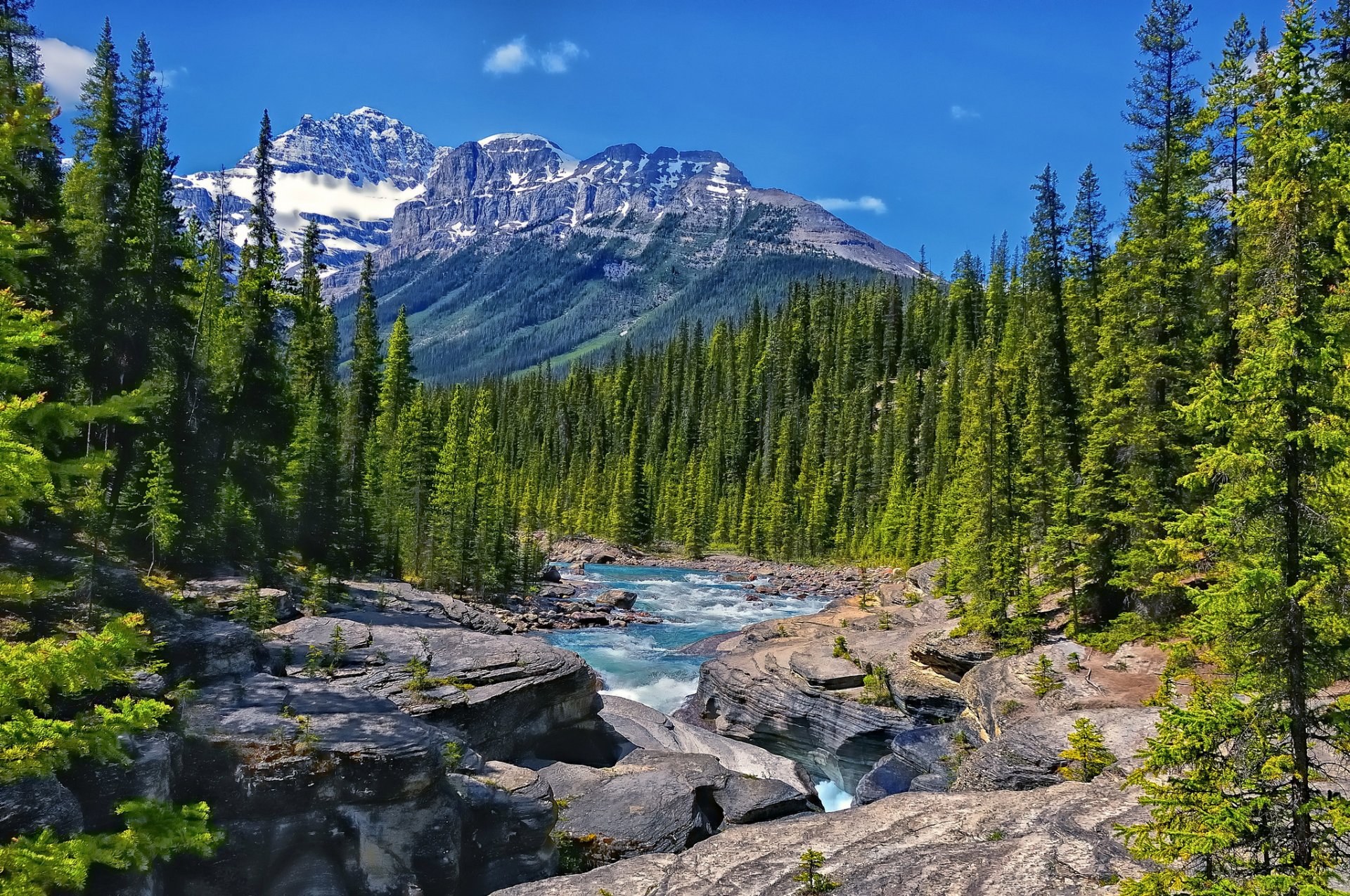 mistaya river alberta kanada rzeka góry las drzewa skały