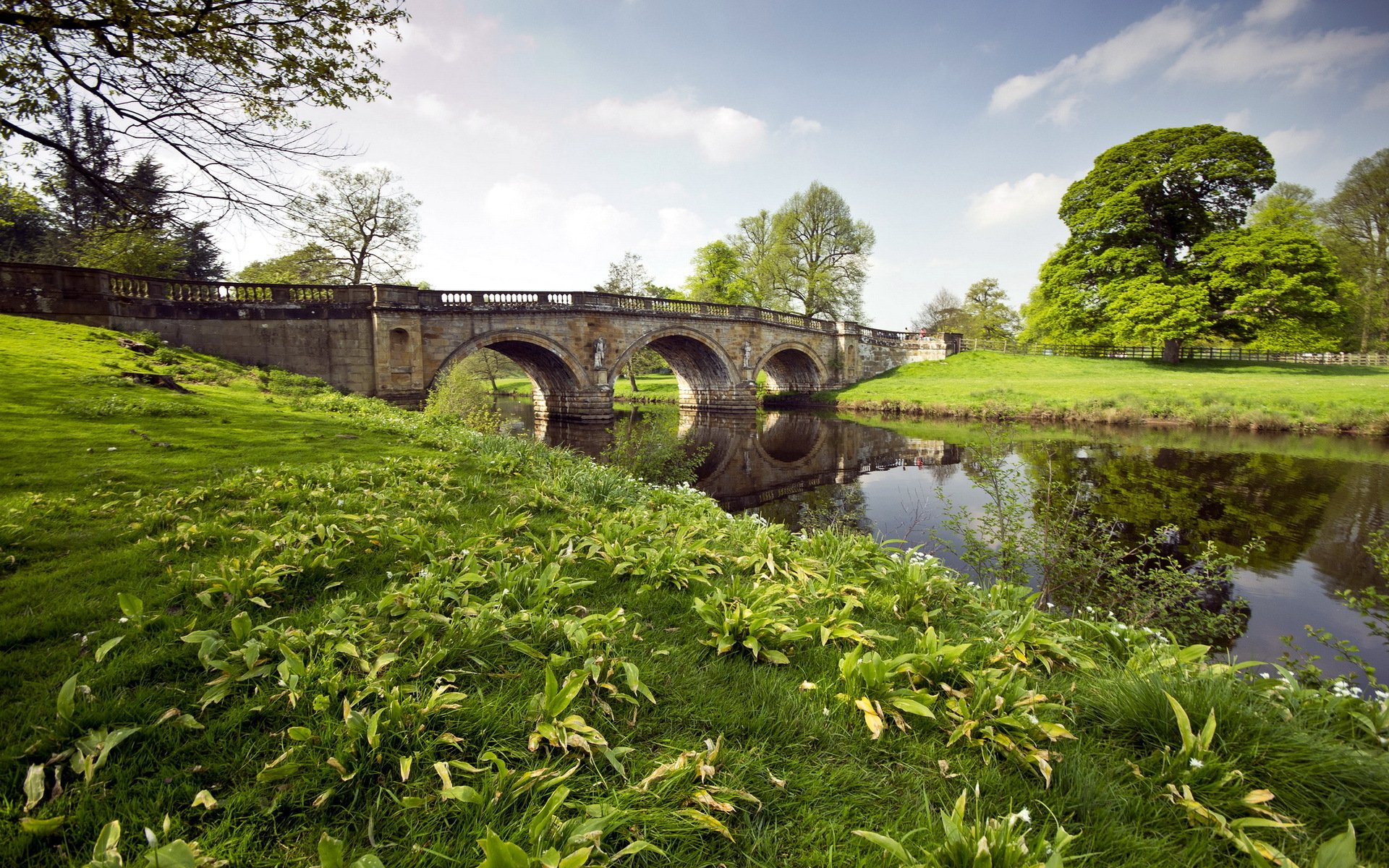 fluss brücke gras landschaft