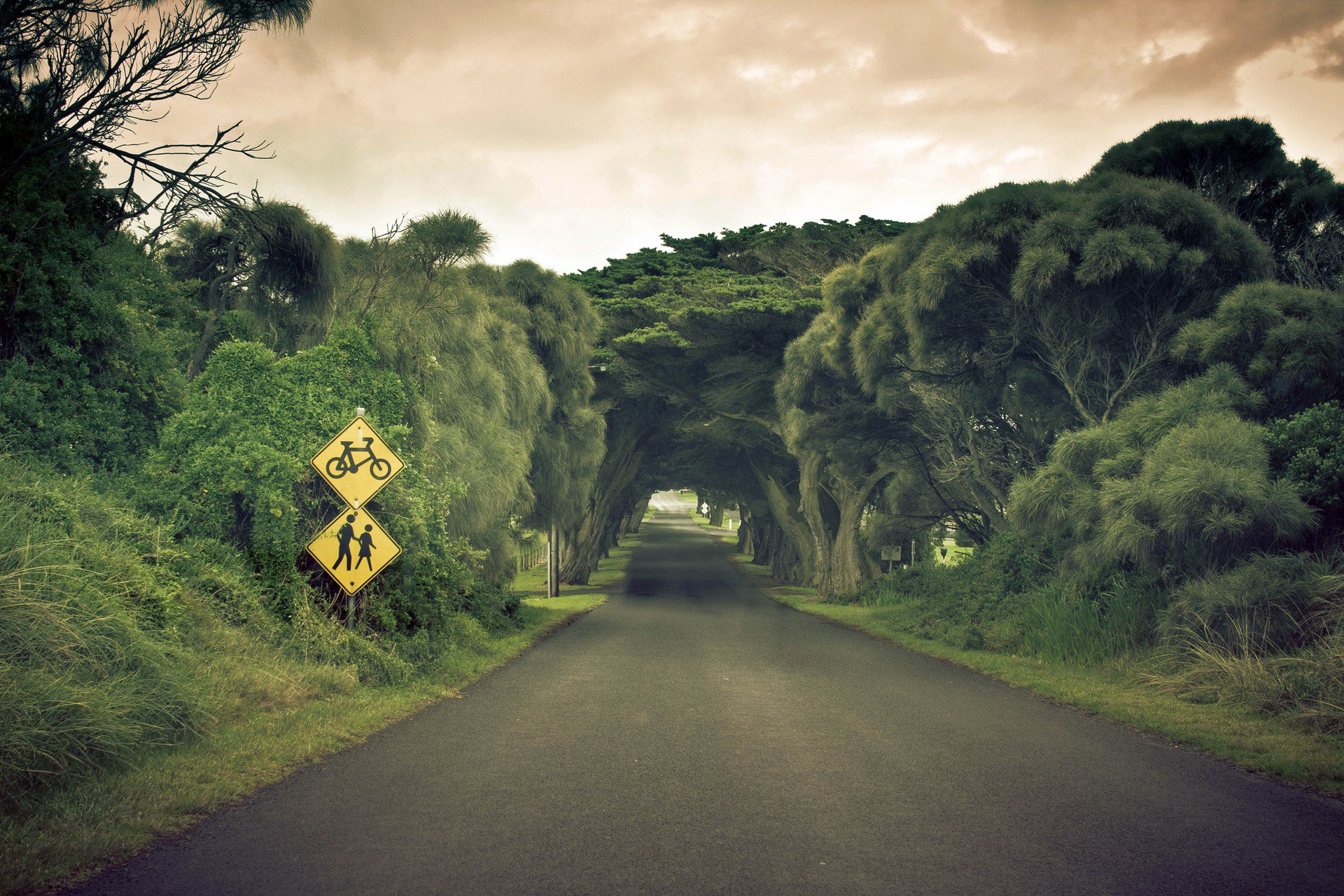 route arbres nature paysage ciel