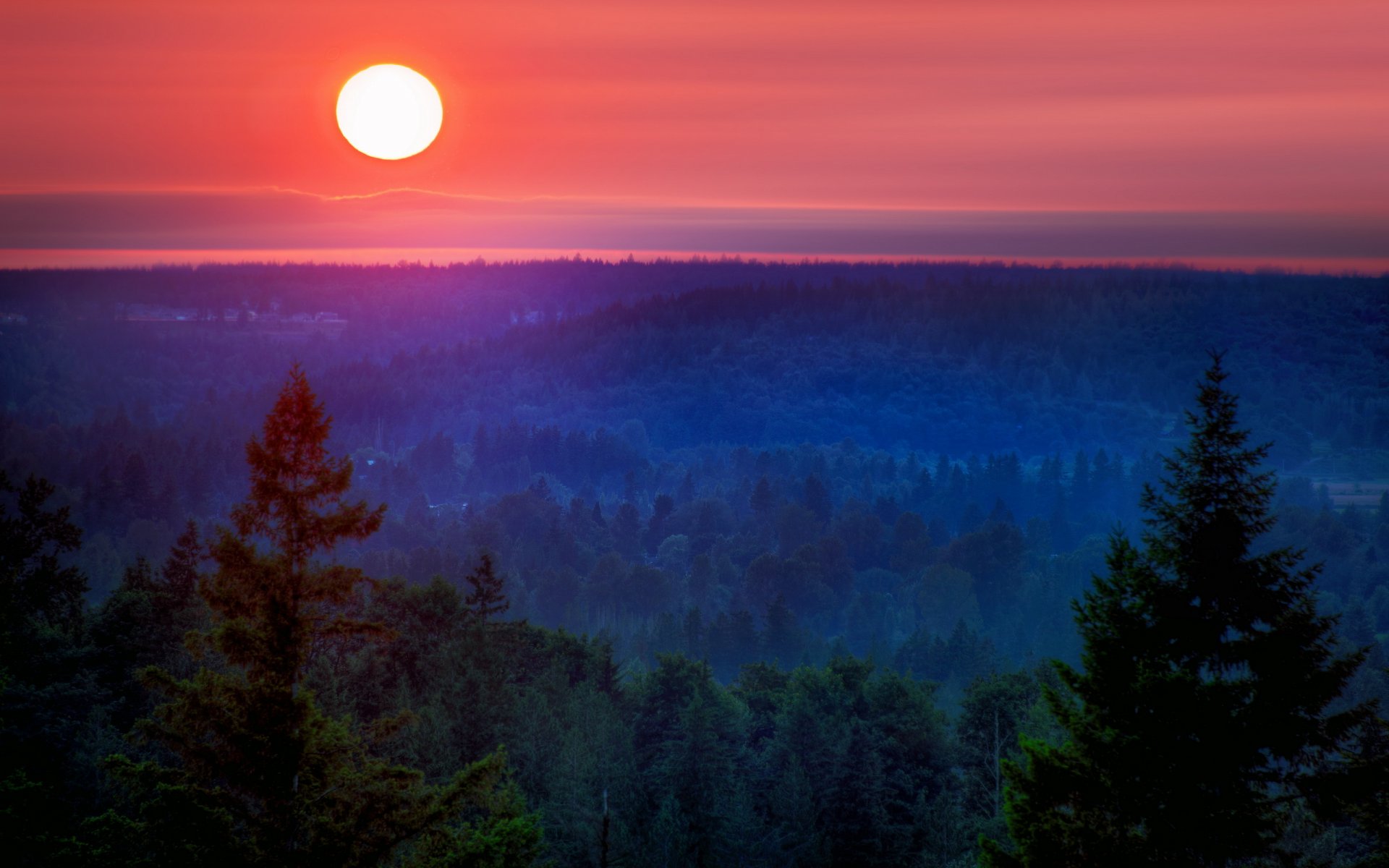 noc księżyc góra las krajobraz