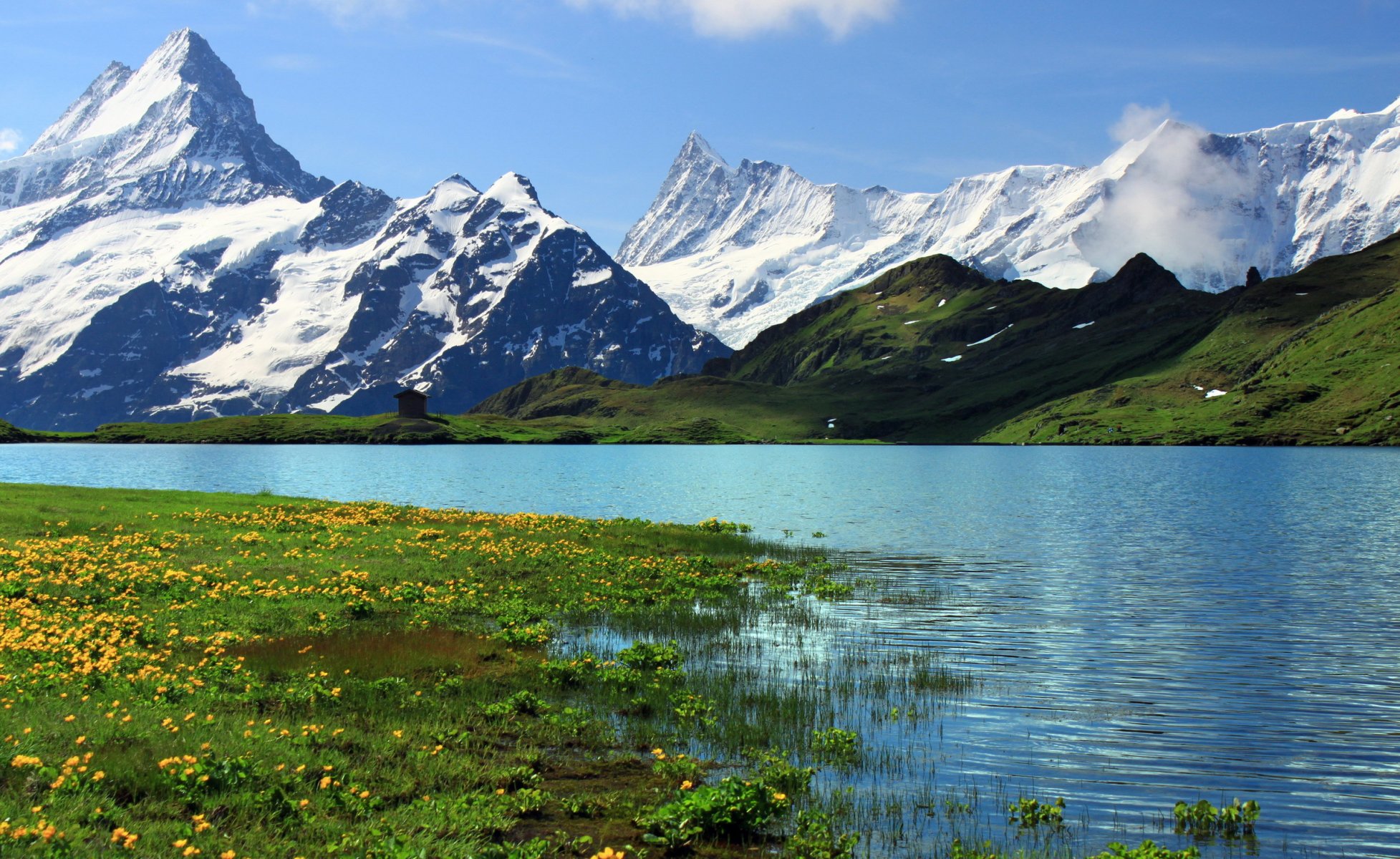 suisse berne grindelwalt grindnlwald montagnes roches neige rivière herbe fleurs