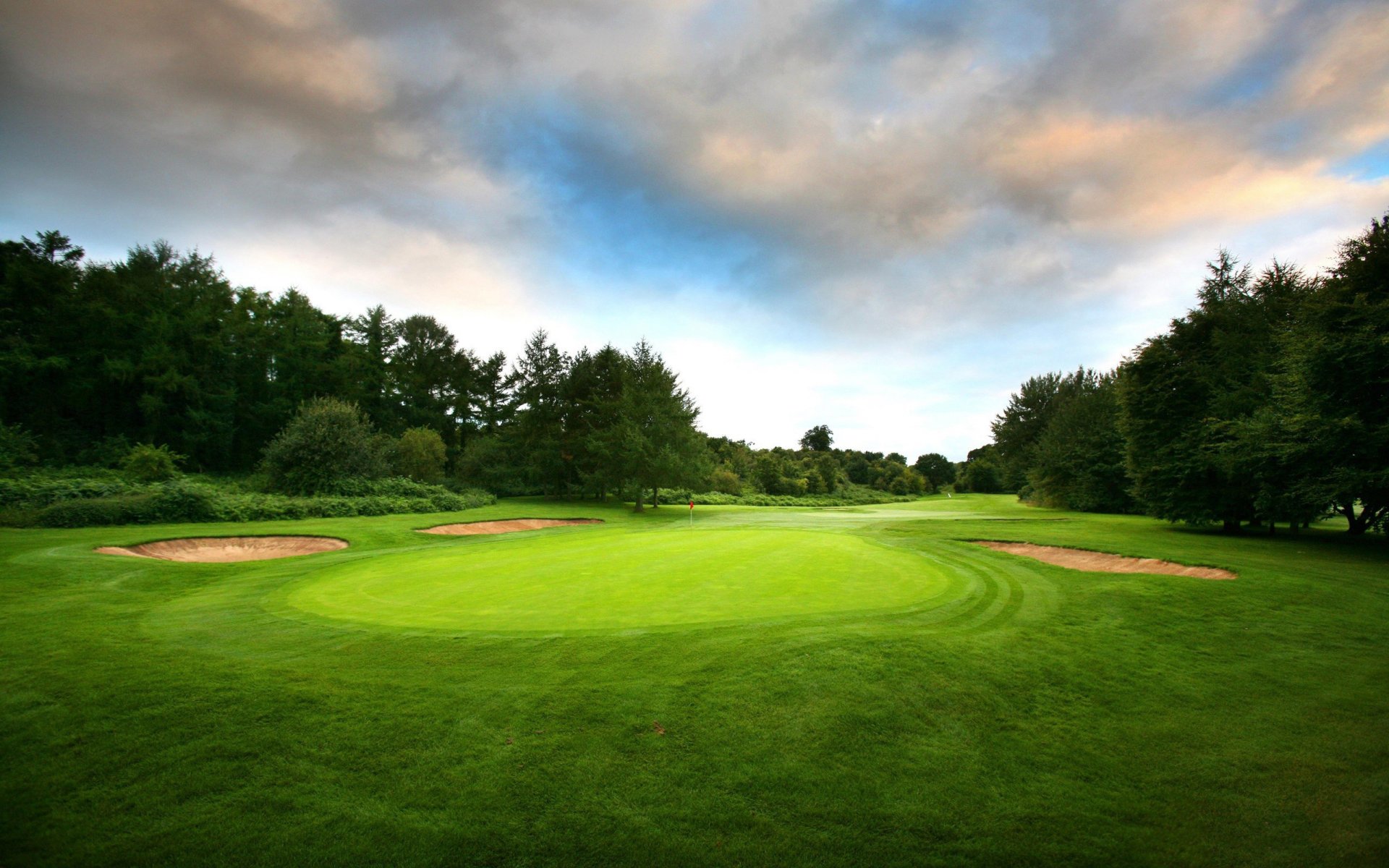 feld für golf bäume