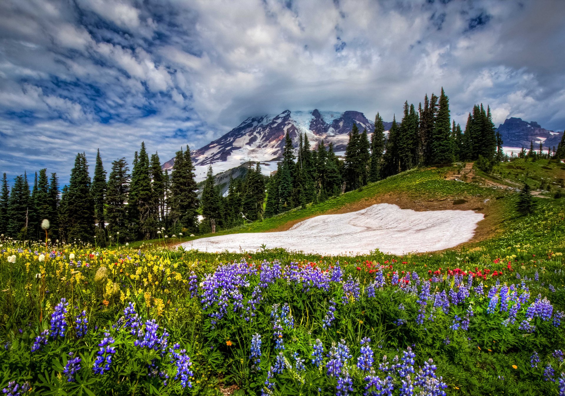 nature paysage montagnes fleurs ciel nuages printemps herbe