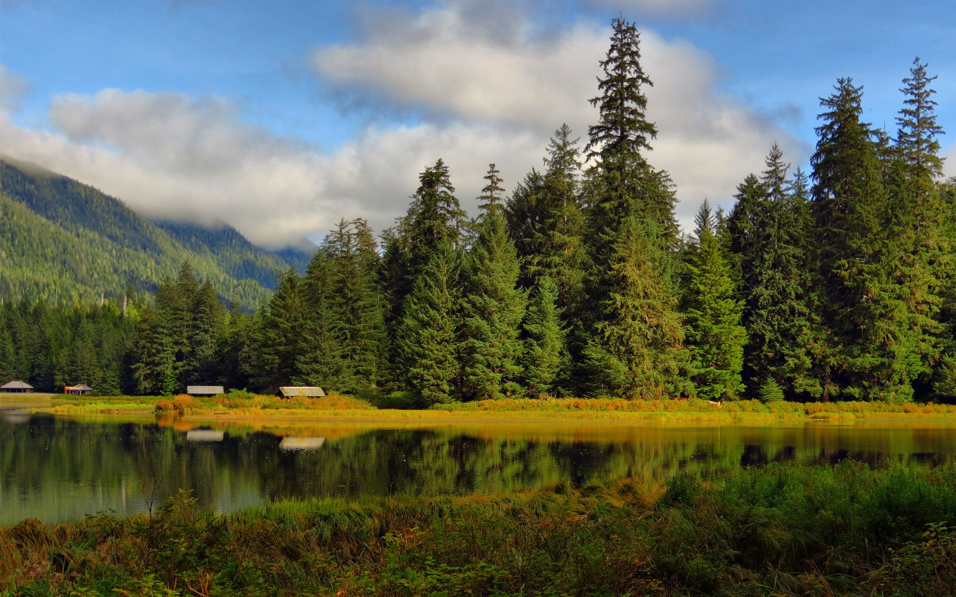 lake forest tree house construction hills surface of reflection cloud