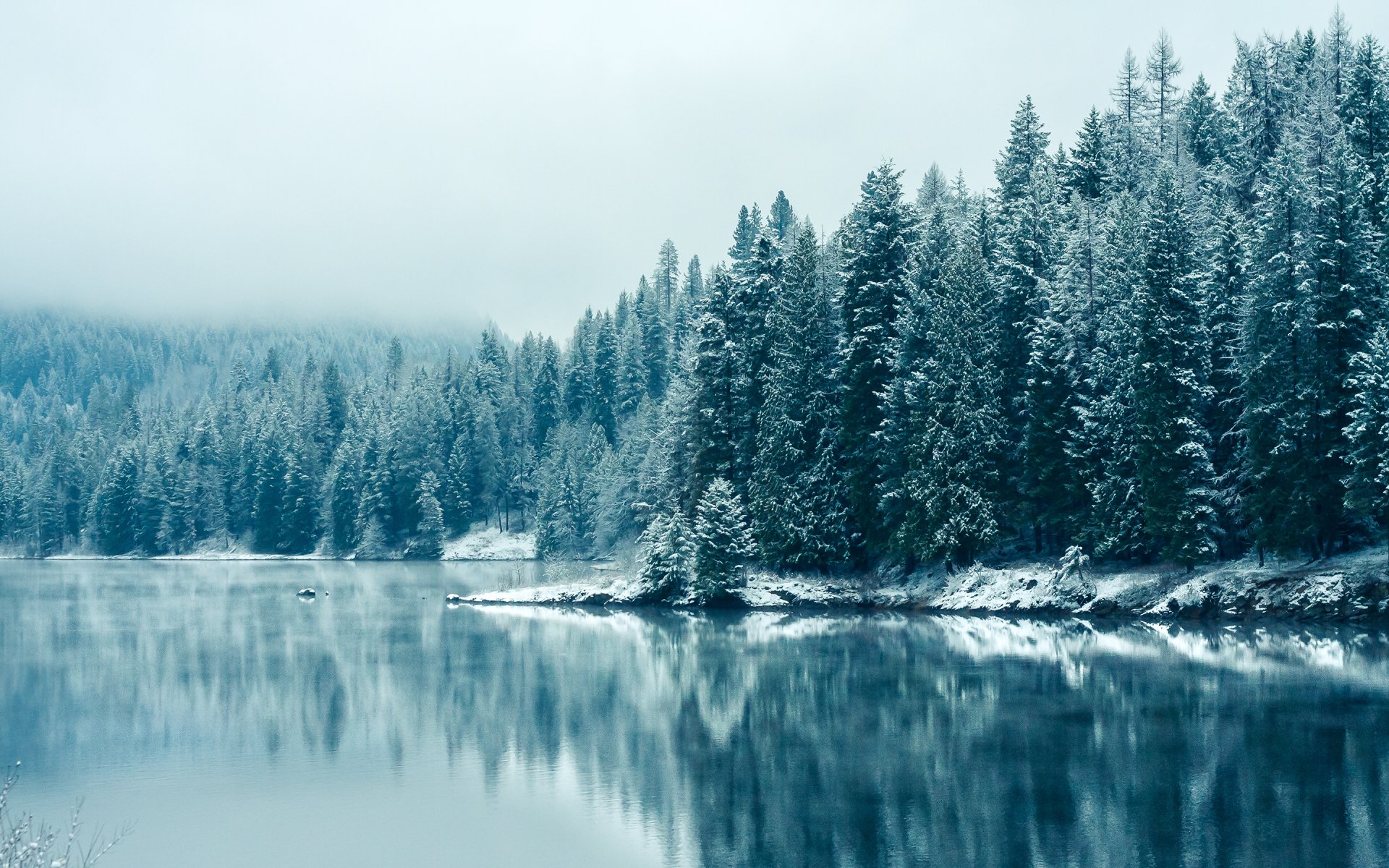 stati uniti canada british columbia fiume kootenay fiume kootenay