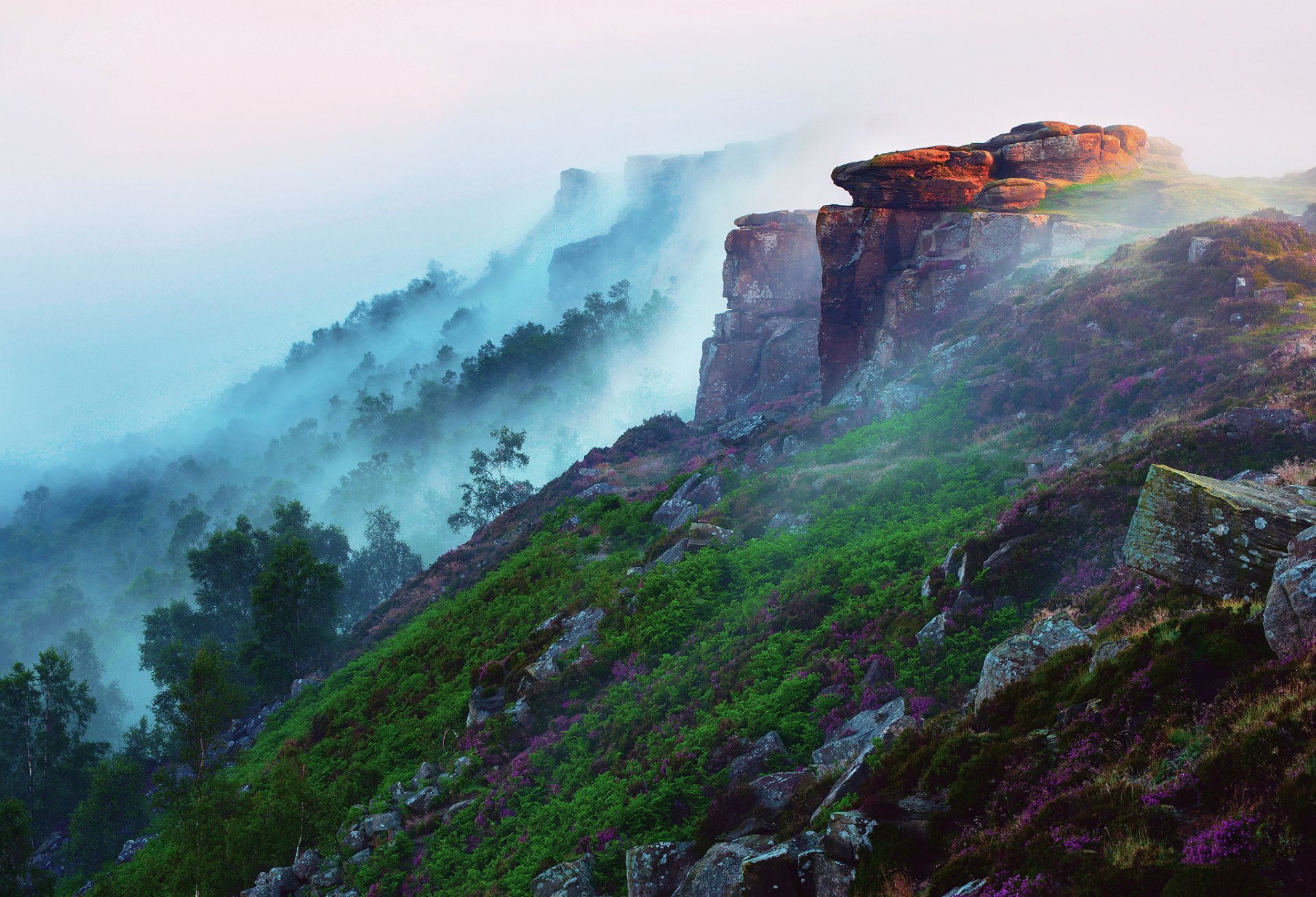 matin montagnes forêt pente pierres lumière brouillard fleurs herbe