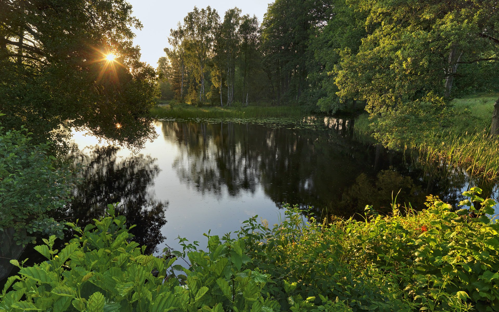 vartå närke schweden see wald bäume