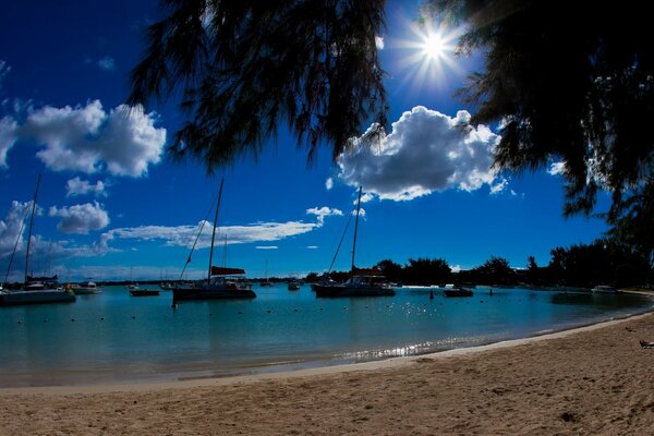 Plage avec palmiers et yachts avec ciel bleu