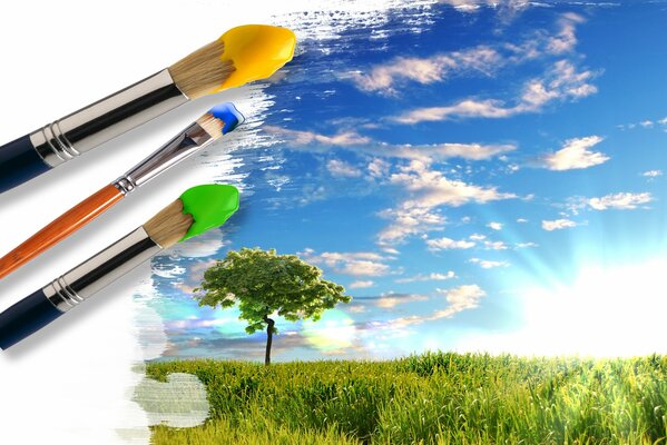 Brushes and sunny landscape