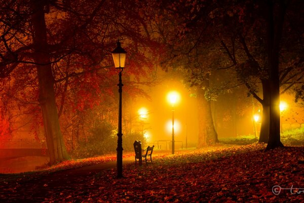 Parc de nuit avec lanternes et banc