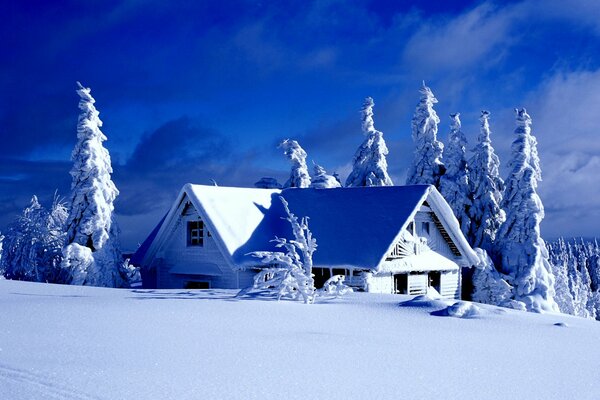Maisons enneigées dans les montagnes près des sapins