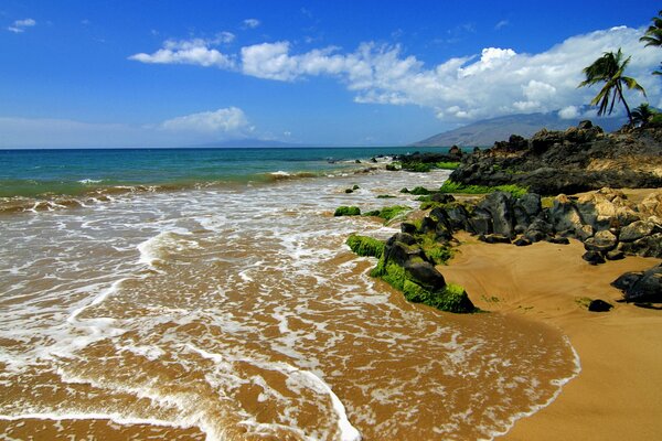 Spiaggia pulita con acqua blu sull Isola