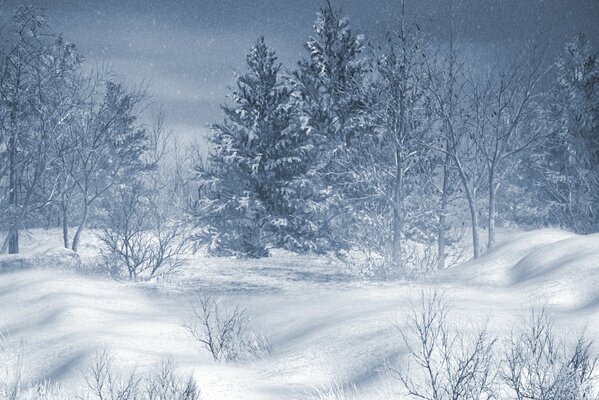 Winter landscape of a snowy forest