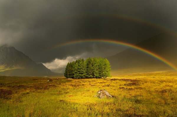 Regenbogen am düsteren Himmel über dem Feld