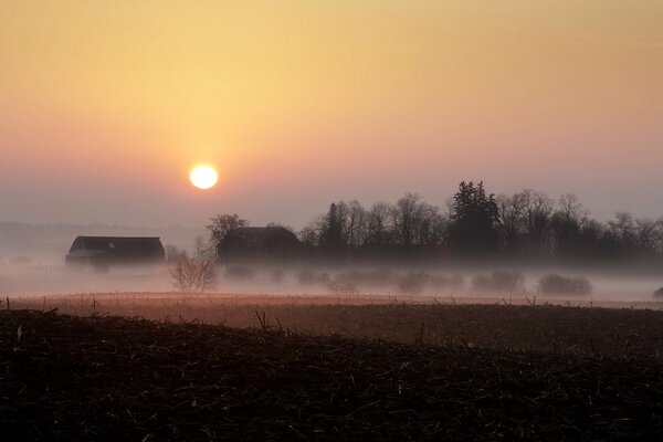 Nebel auf dem Feld. Schöne Landschaft bei Sonnenuntergang