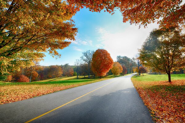 Bright autumn landscape along the road