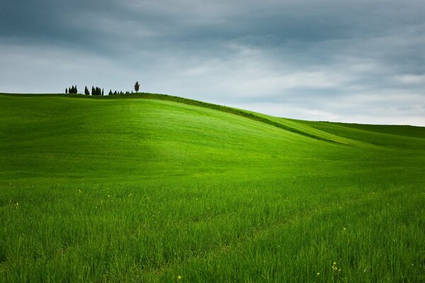 La distesa del campo sotto il cielo nuvoloso