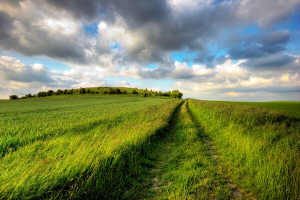 Straße im Feld an einem sonnigen Tag