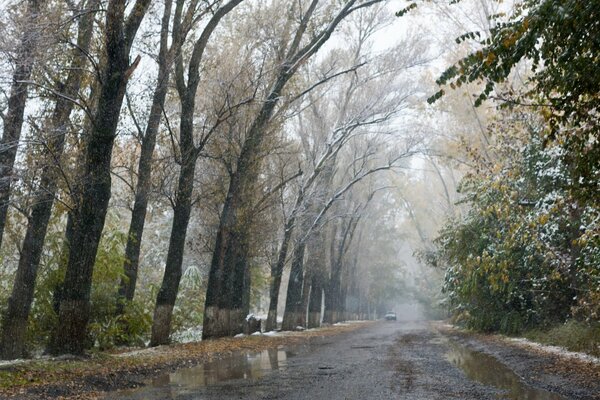 Slush sur l allée d automne