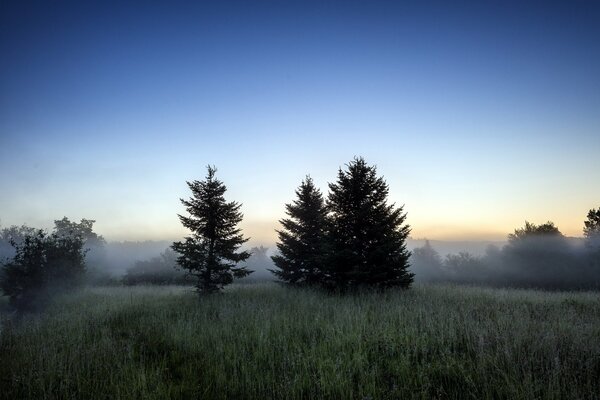 Morgenlandschaft im Feld