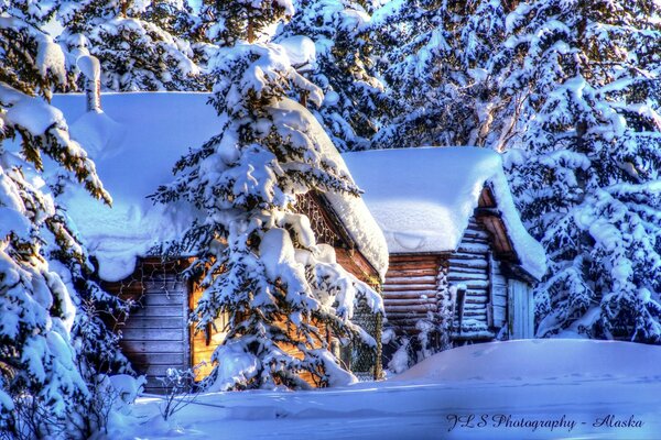 A picture of a snowy forest with a house