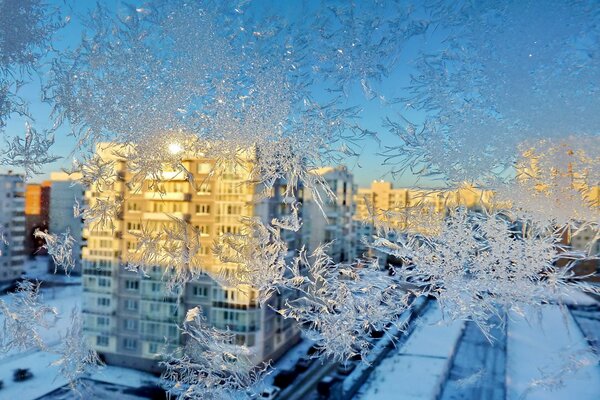 Frostige Muster am Fenster