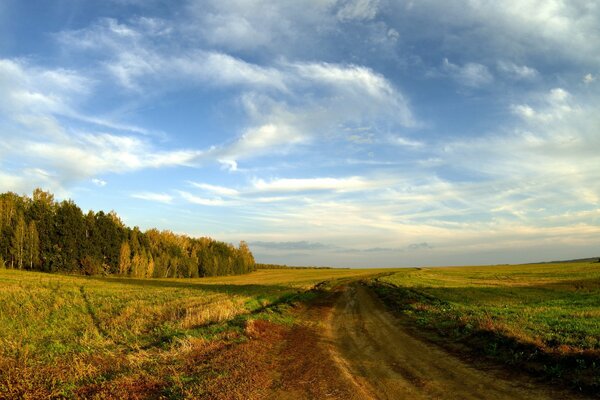 La strada di campagna attraversa i campi