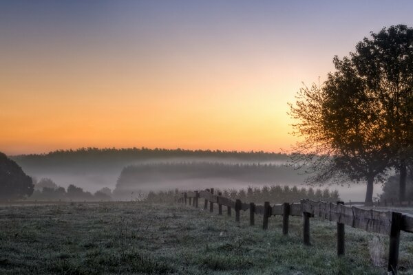 Foggy morning on the landscape field