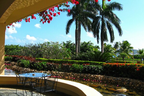 Beautiful hotel porch with palm trees view