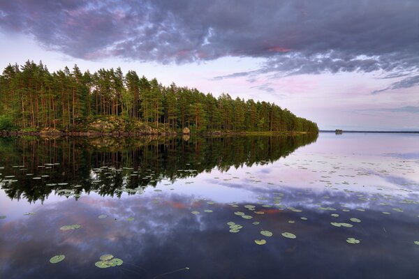 Île verte sur un lac en Suède