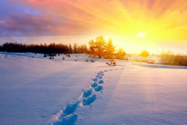 Ausgetretener Pfad im Winter bei Sonnenuntergang