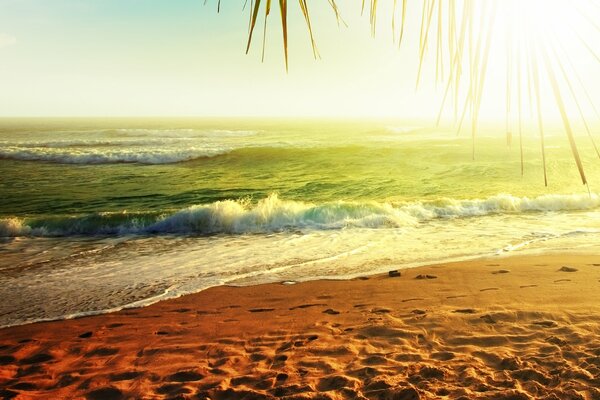 Sueños de vacaciones en la costa del océano