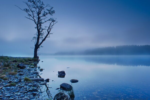 Scottish lake in misty blue