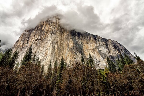 Majestuosa montaña en las nubes rodeada de bosques