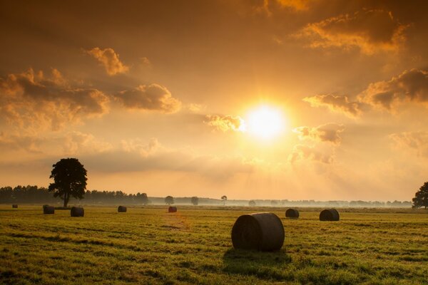 Heno en el campo con paisaje de puesta de sol