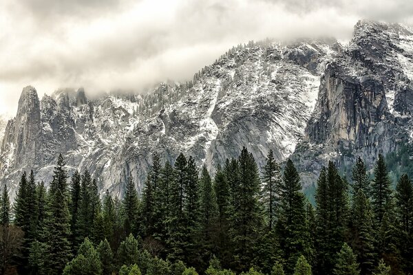 Lasy i góry Parku Narodowego Yosemite w Kalifornii