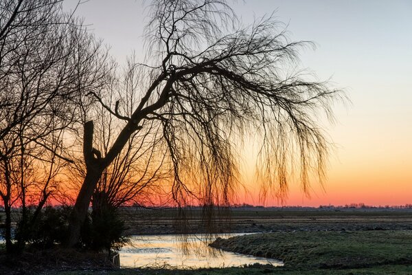 Sonnenuntergang Landschaft im Feld