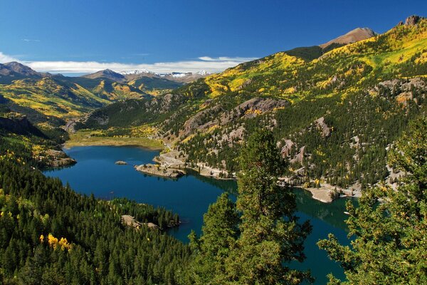 Lac dans la forêt verte dans les montagnes