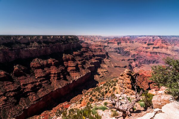 Grand Canyon von Arizona USA